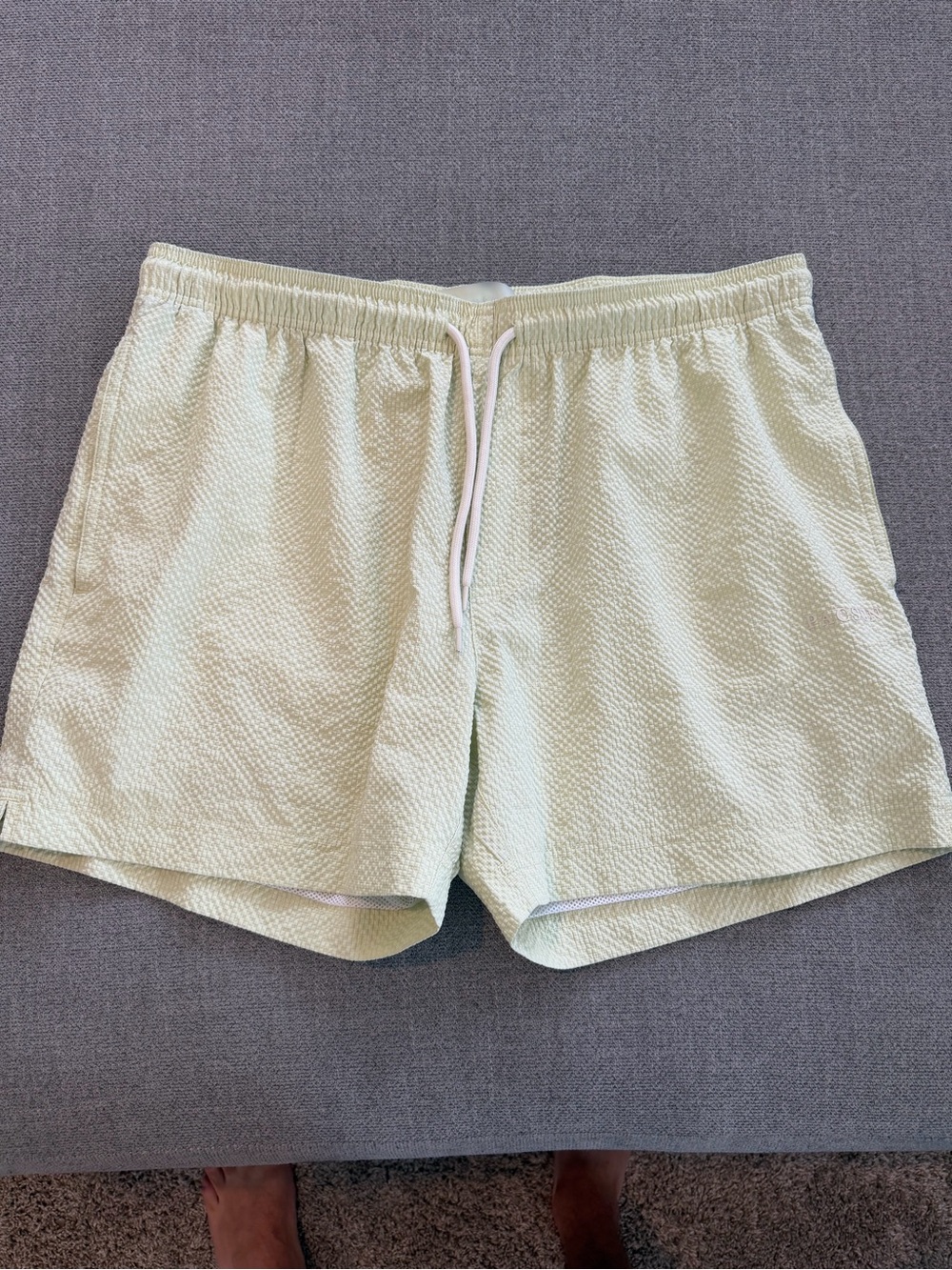 Pacsun Mens Light Green Swim Trunks
